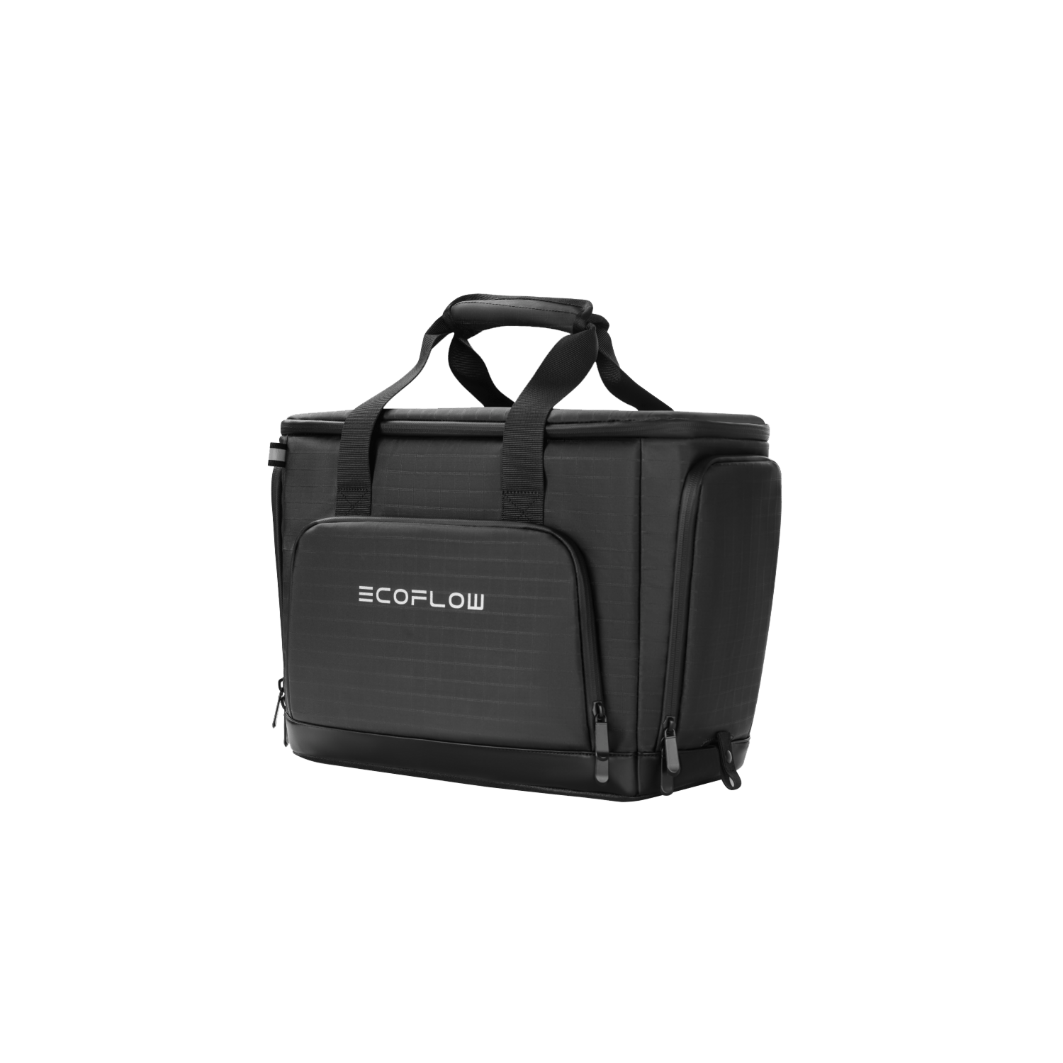 EcoFlow DELTA Pro Bag