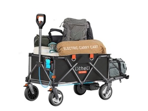 [U200E00-1U111] Litheli eWagon W1 Pro Single Battery 4.0AH - Black